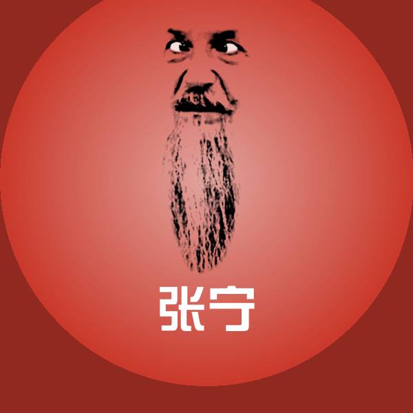 张宁斗图图片