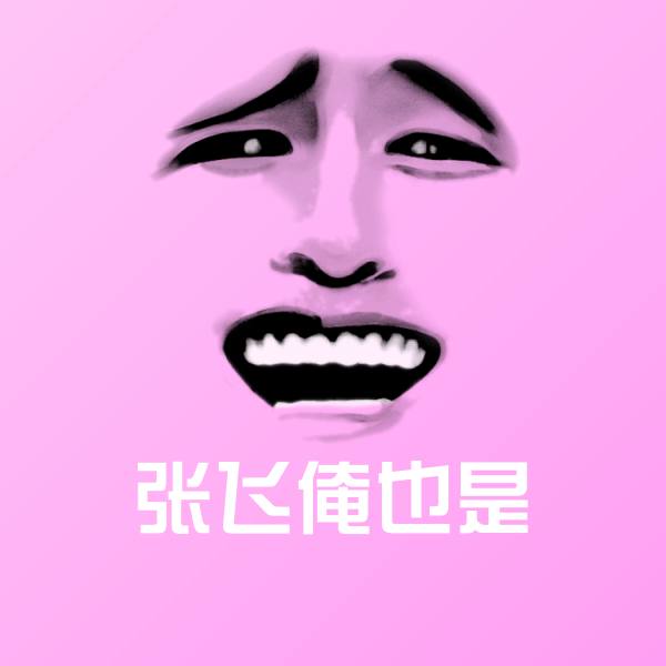 高清张飞俺也是表情图片