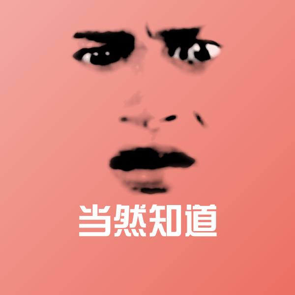 高清当然知道表情图片