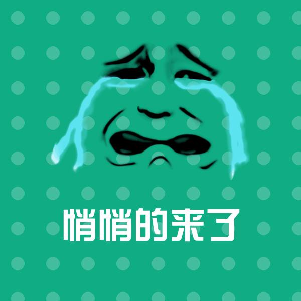 悄悄的来了沙雕表情包