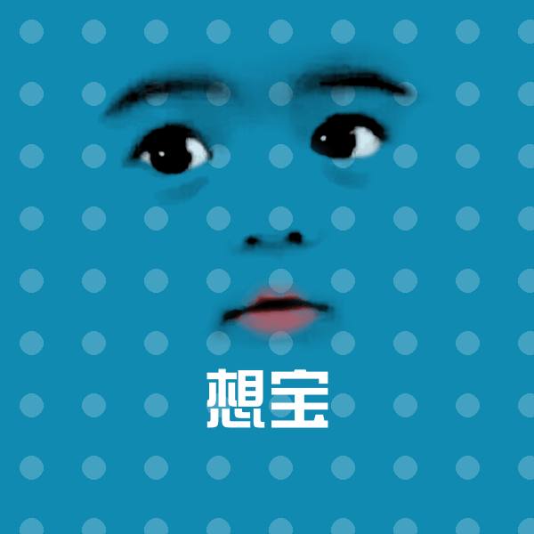 想宝聊天表情