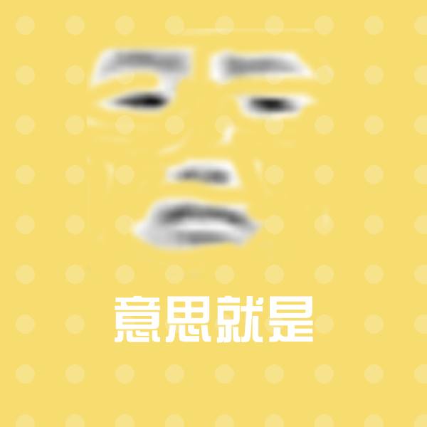 意思就是表情包