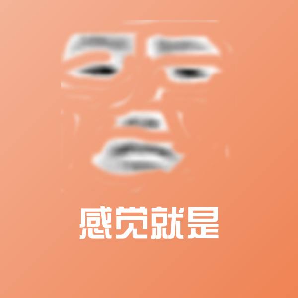 感觉就是聊天表情