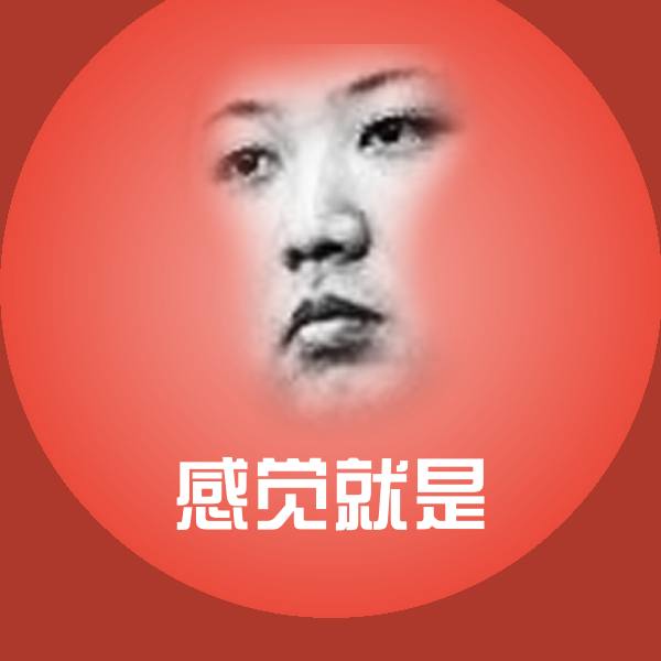 感觉就是沙雕表情包