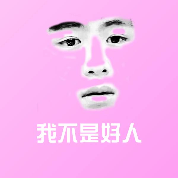 我不是好人斗图图片