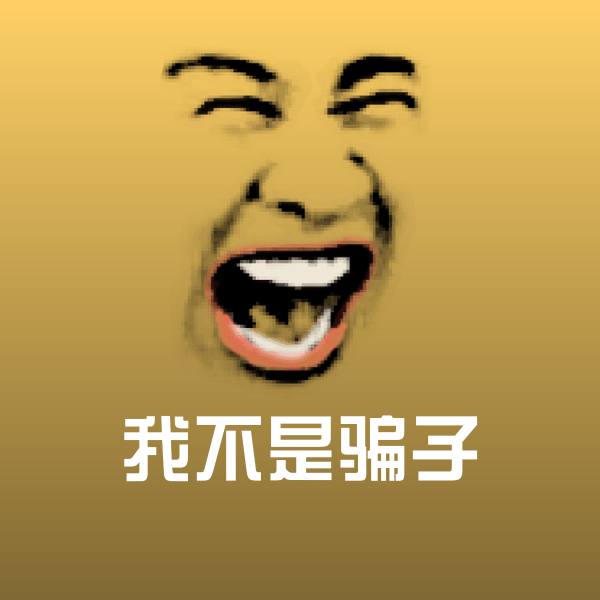 我不是骗子斗图图片