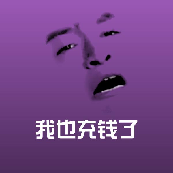 我也充钱了斗图图片