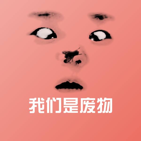 我们是废物斗图神器