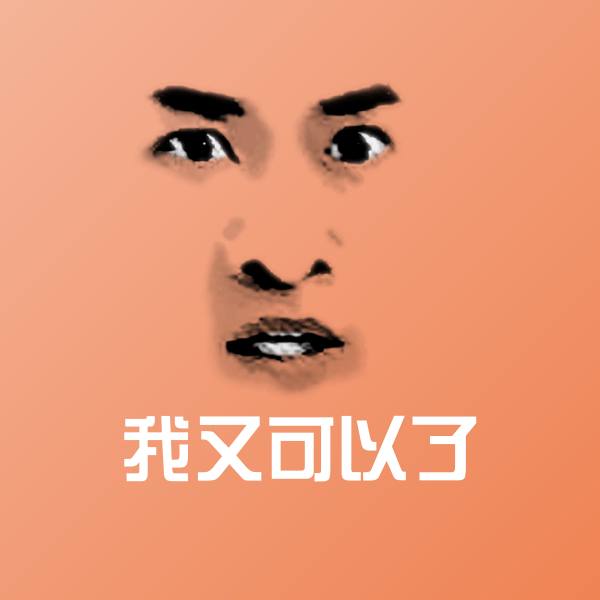 我又可以了斗图神器