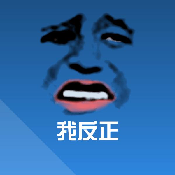我反正聊天表情 第1张