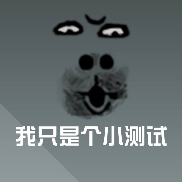 我只是个小测试斗图神器