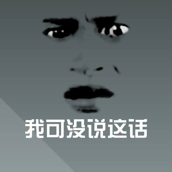 我可没说这话斗图神器