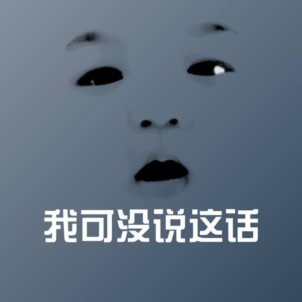 我可没说这话聊天表情