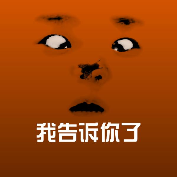 我告诉你了聊天表情