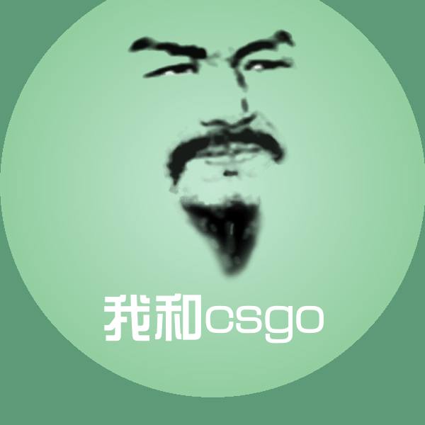 我和csgo聊天表情