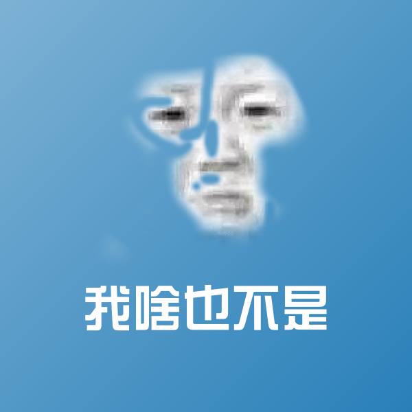 我啥也不是聊天表情 第1张