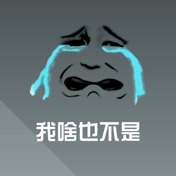 我啥也不是聊天表情