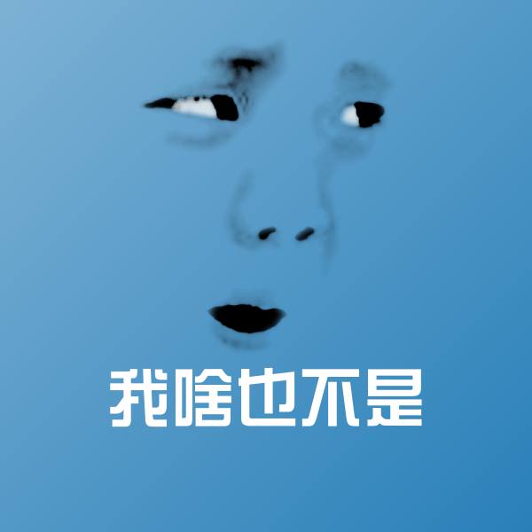 我啥也不是表情包