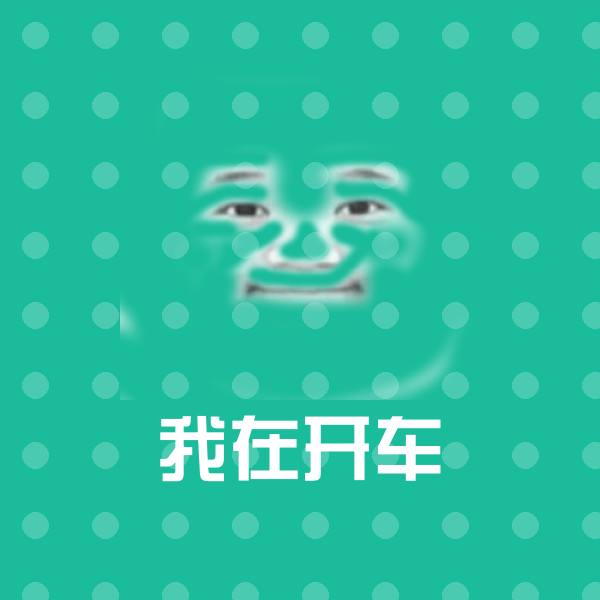 搞笑我在开车表情