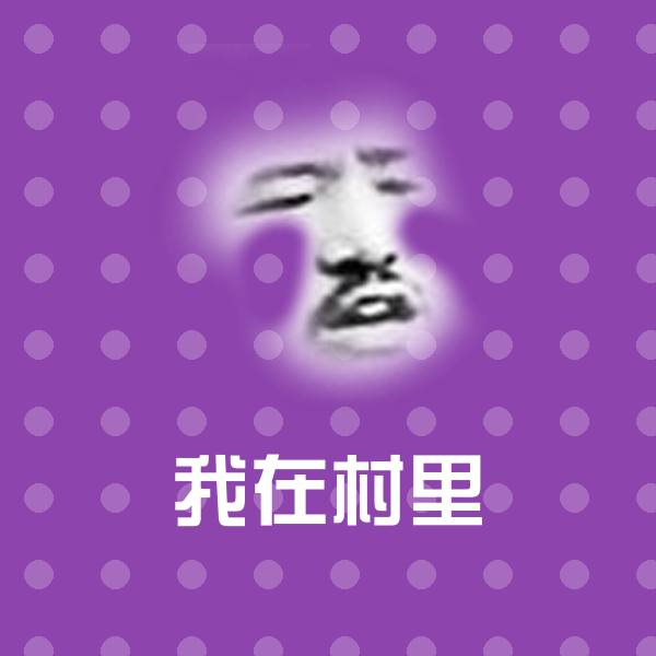 我在村里表情包