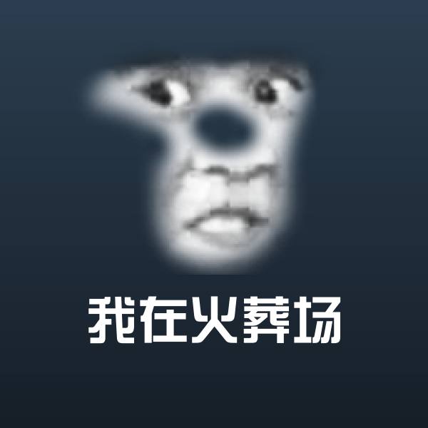 我在火葬场表情包