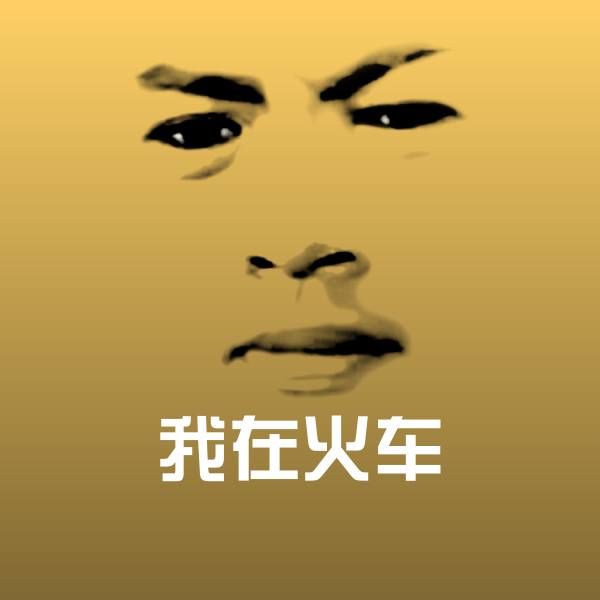 我在火车表情包