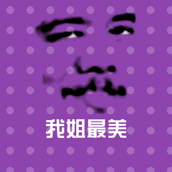 我姐最美斗图神器