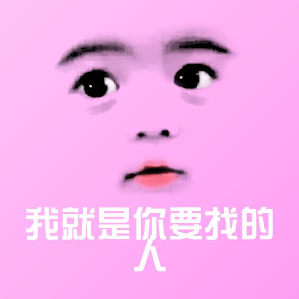 我就是你要找的人斗图神器