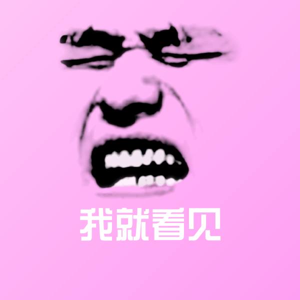 我就看见斗图图片