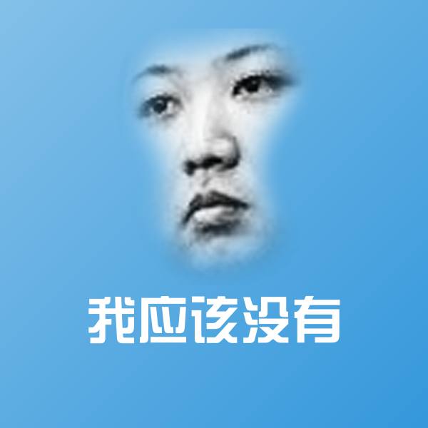 我应该没有聊天表情 第1张