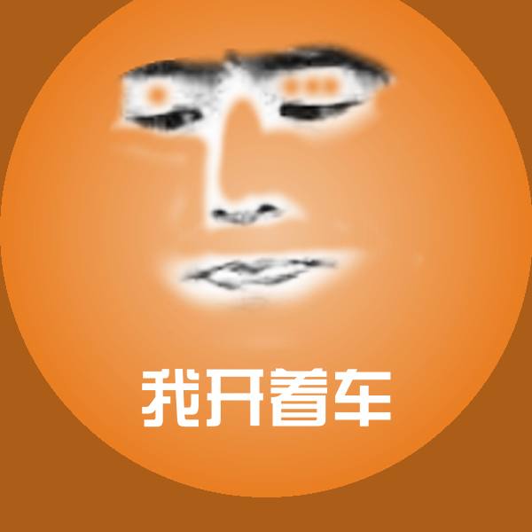 我开着车斗图图片