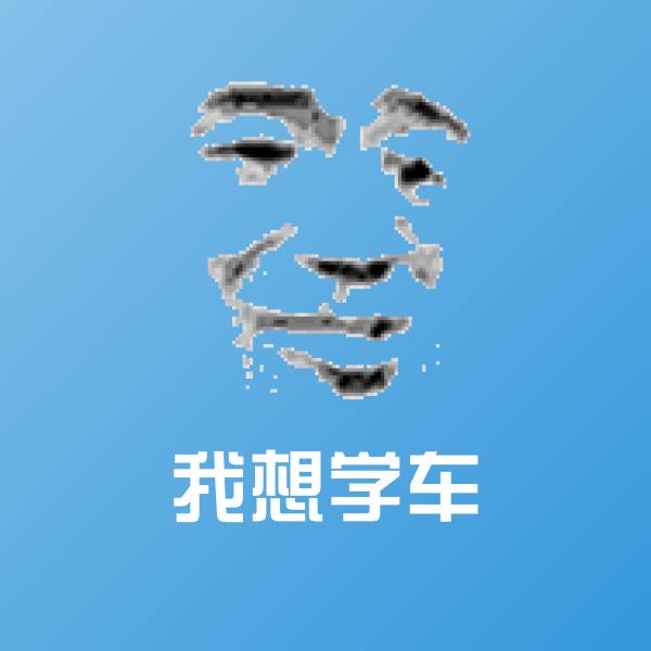 原创我想学车表情包