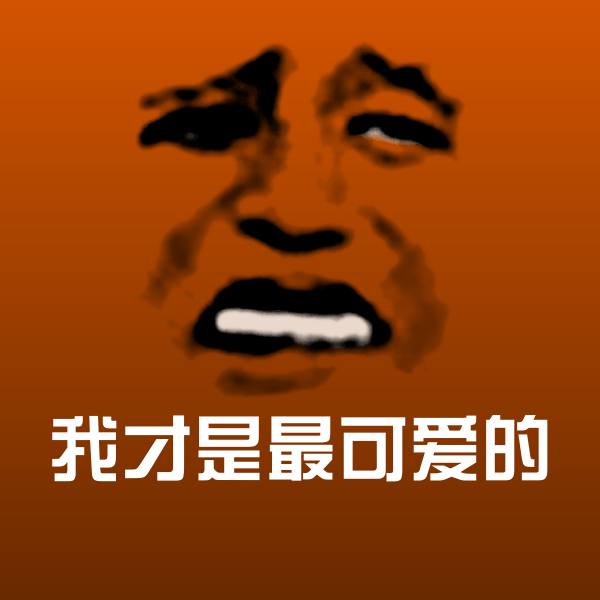 可爱我才是最可爱的表情