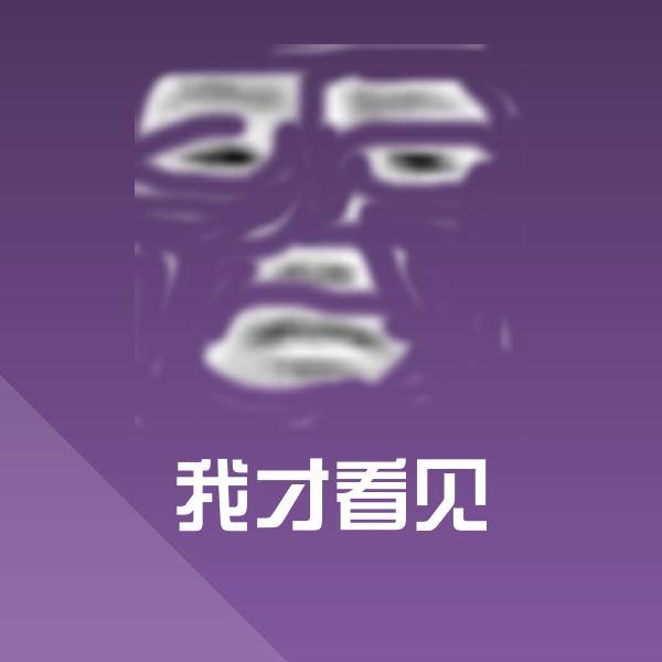 我才看见斗图神器