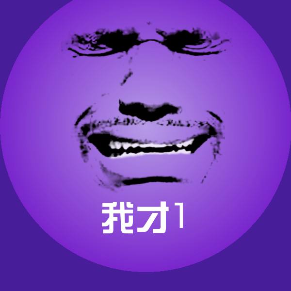 我才1表情包