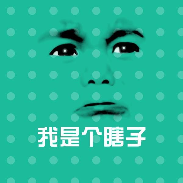 我是个瞎子斗图神器