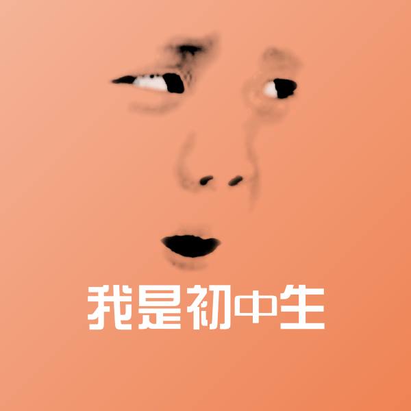 我是初中生微信表情包