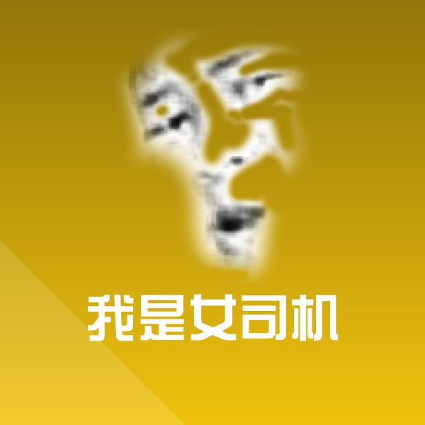 我是女司机表情包