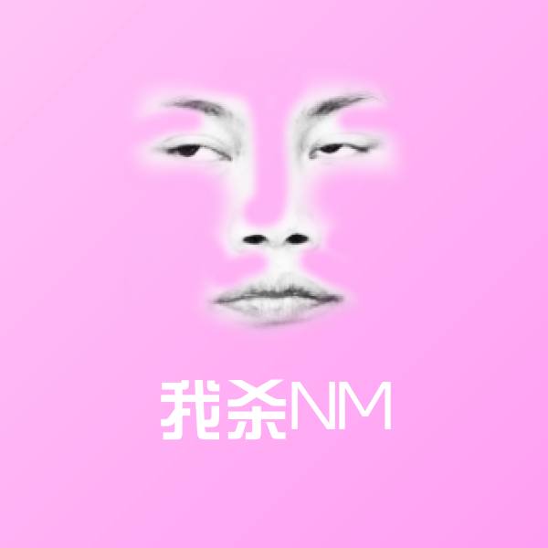 我杀NM斗图神器