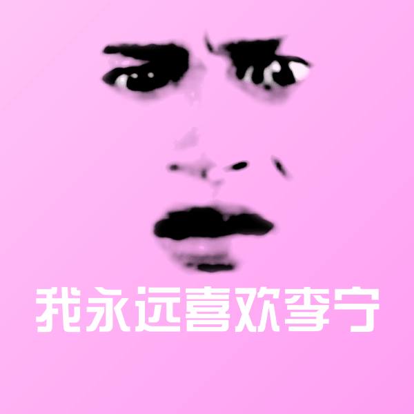 可爱我永远喜欢李宁表情