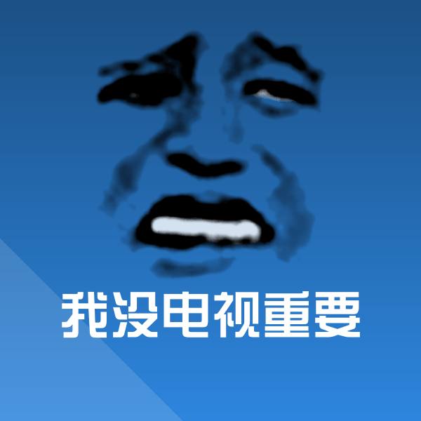 我没电视重要斗图图片