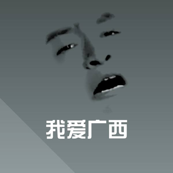 原创我爱广西表情包