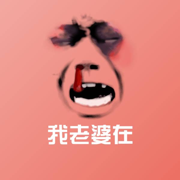 我老婆在斗图图片