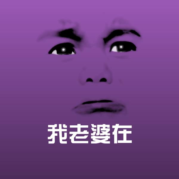 我老婆在表情包