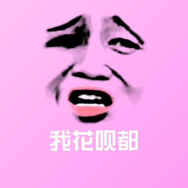 我花呗都沙雕表情包