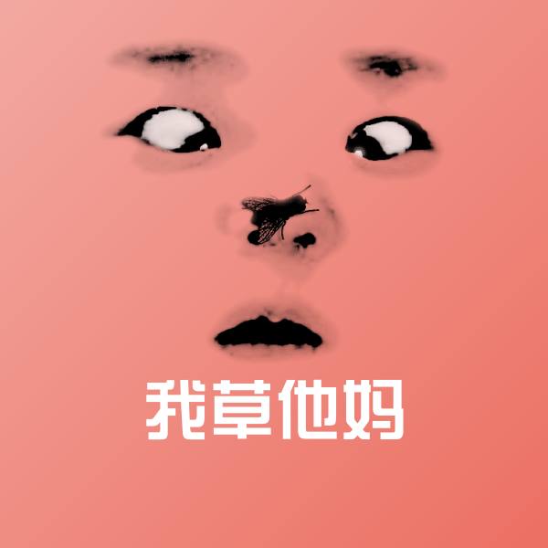原创我草他妈表情包