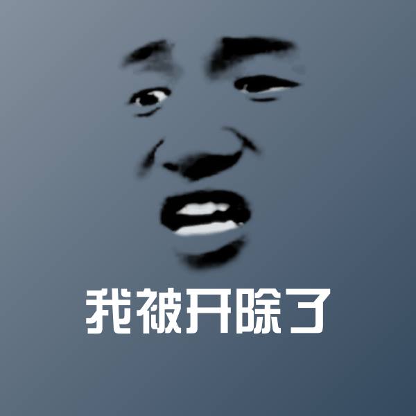我被开除了表情包
