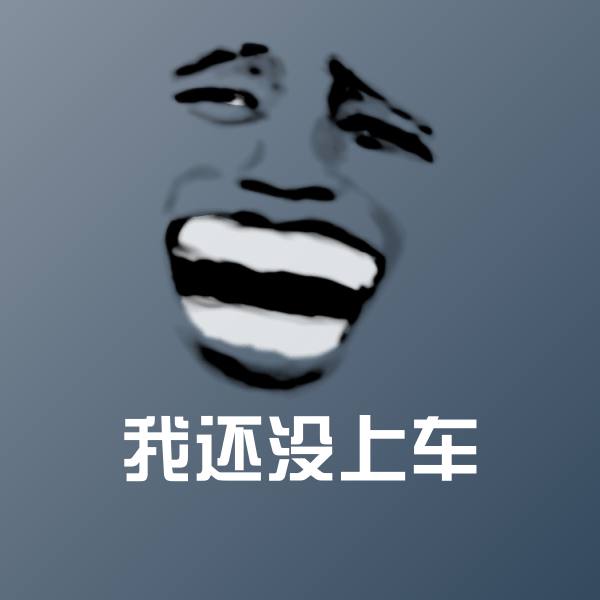 原创我还没上车表情包