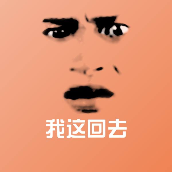 我这回去斗图神器
