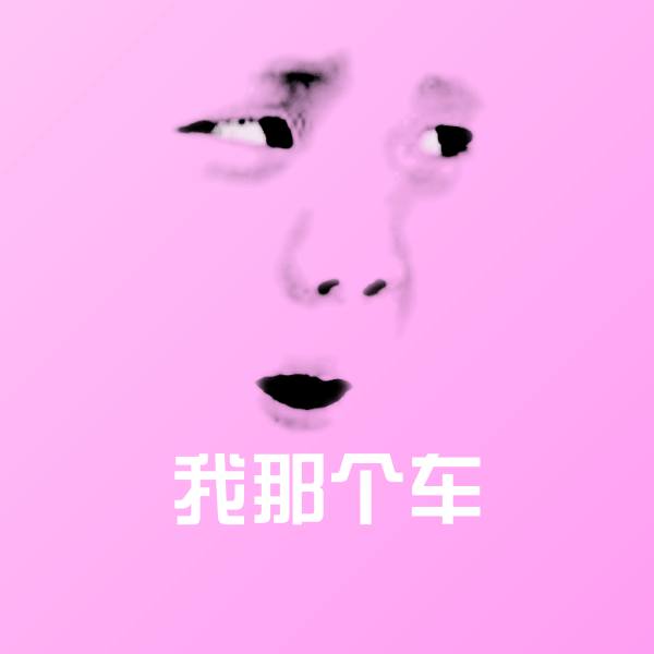 我那个车表情包